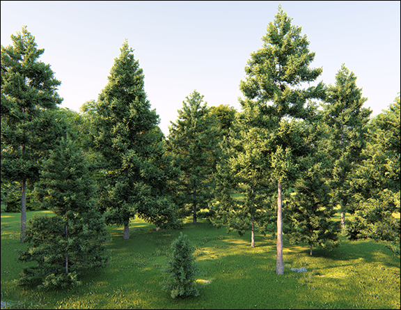 Landschap in Lumion: bomen