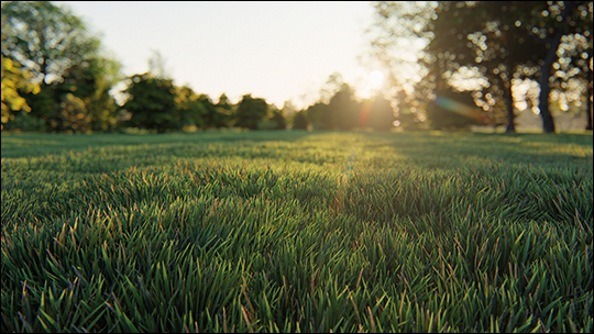 gras in lumion 1